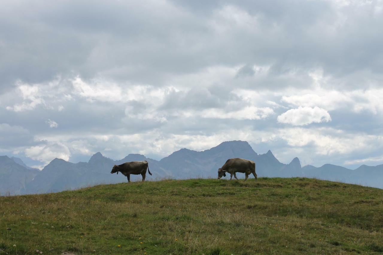 Ruef Wohlfuehl-Apartments Au (Vorarlberg) Luaran gambar
